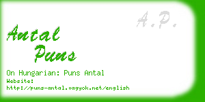 antal puns business card